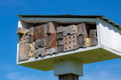 bee house