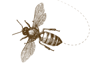 illustrated bees on flowers