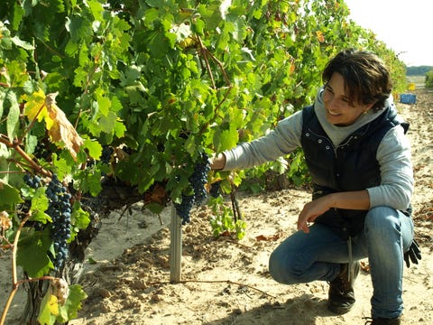 These 4 Women Are Making Sure the Wine Industry Isn't a Boys' Club Anymore