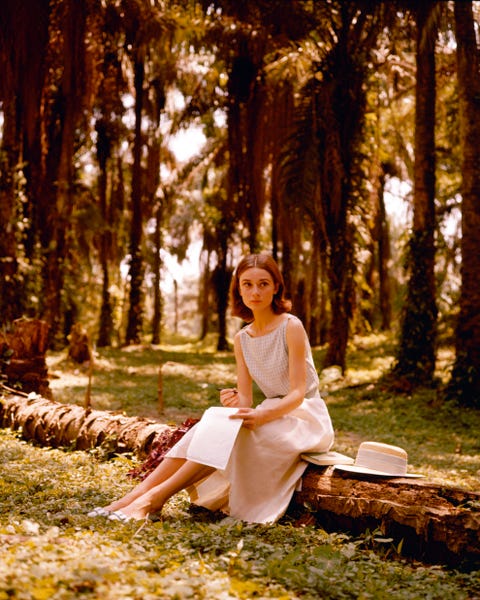 audrey hepburn