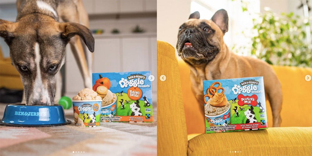 Ben & Jerry’s Ice Cream Flavours For Dogs Exist