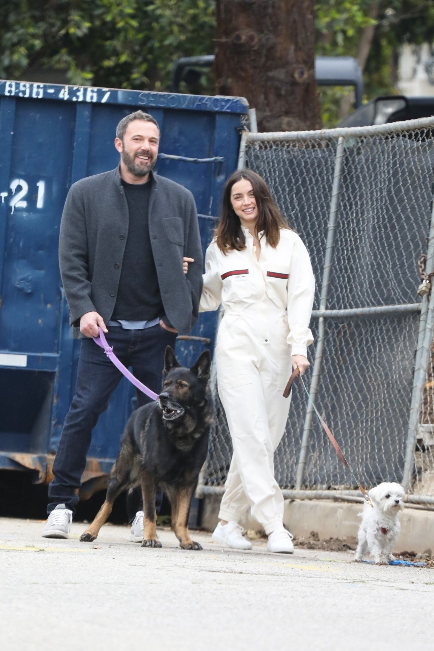 Ana De Armas And Ben Affleck Went Out Matching Their Dogs