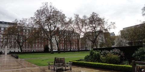 Benches in Grosvenor Square After the Rain