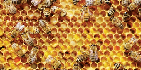 9 Ways Honey Can Up Your Beauty Game