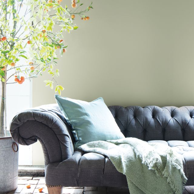 benjamin moore colour of the year 2022  october mist