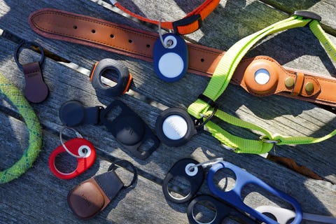 dog collars with pet trackers on a wooden deck