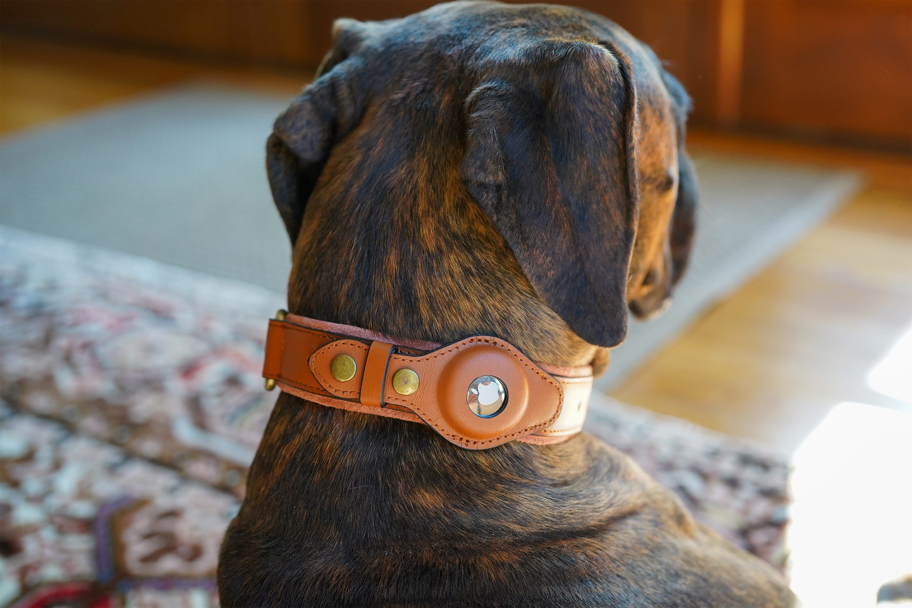 what is the best material for a dog collar