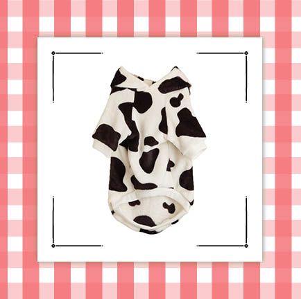 dog cow shirt and recordable talking button set