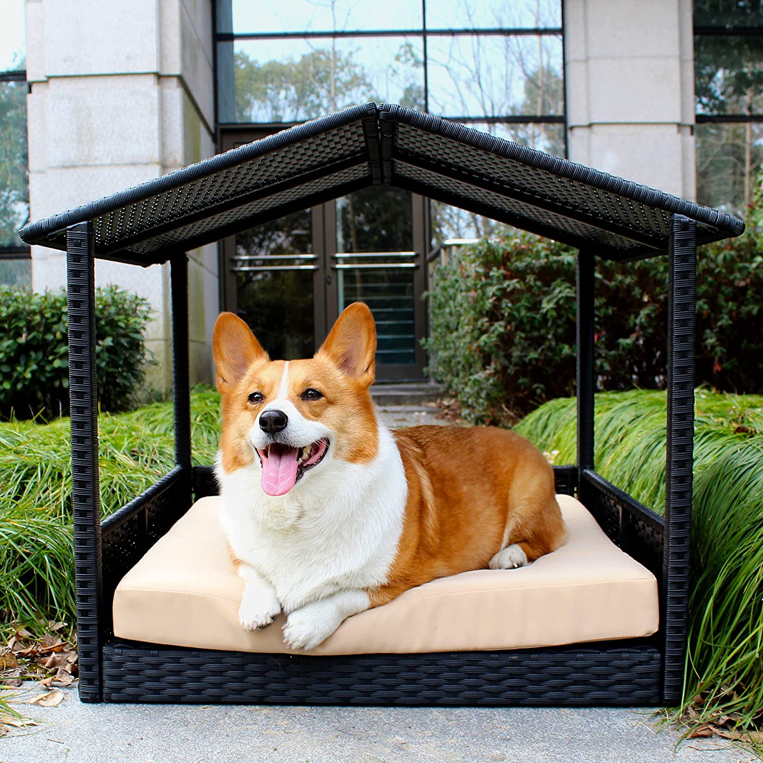 The Most Ridiculously Cute and Best Products You Can Buy Your Dog on Amazon