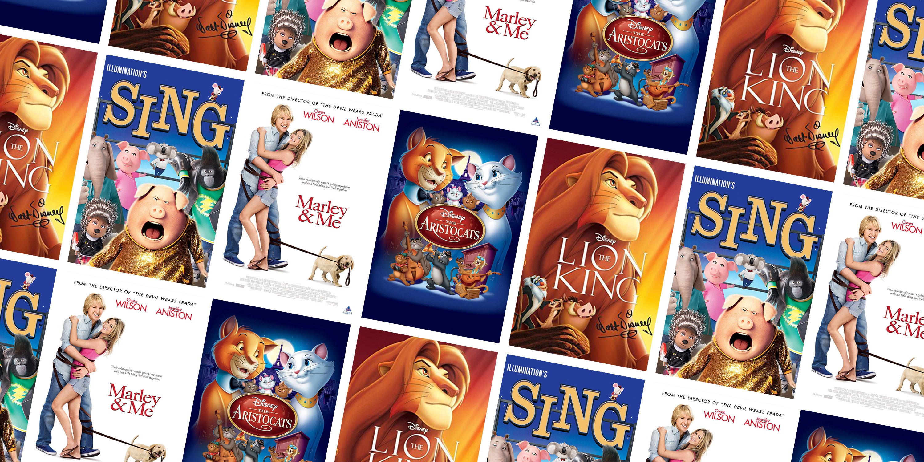 Animated Animal Movies On Netflix Country Roads Animal