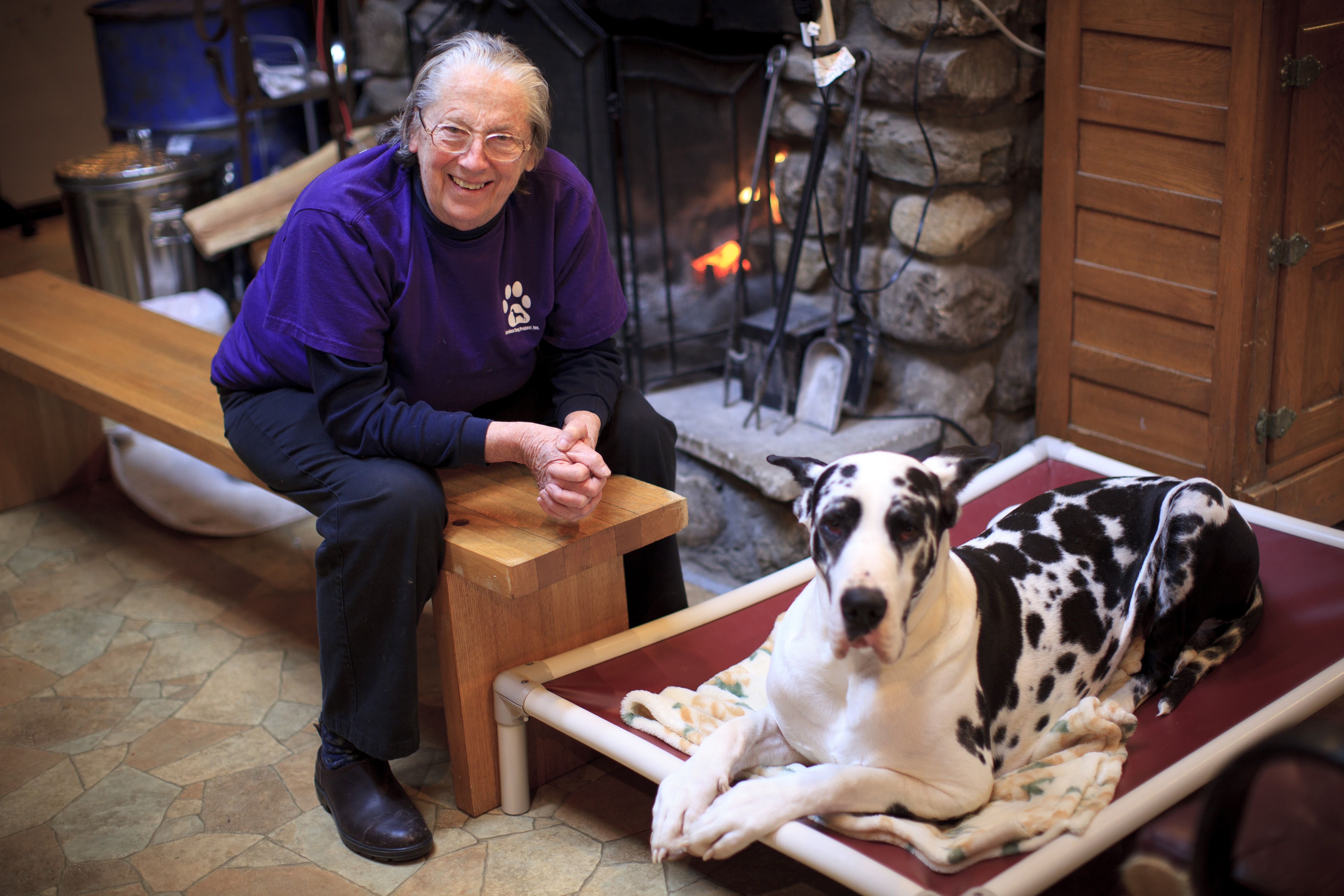 do great danes make good apartment dogs