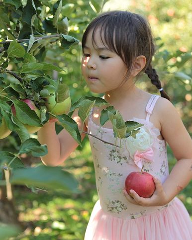 girl picking apples