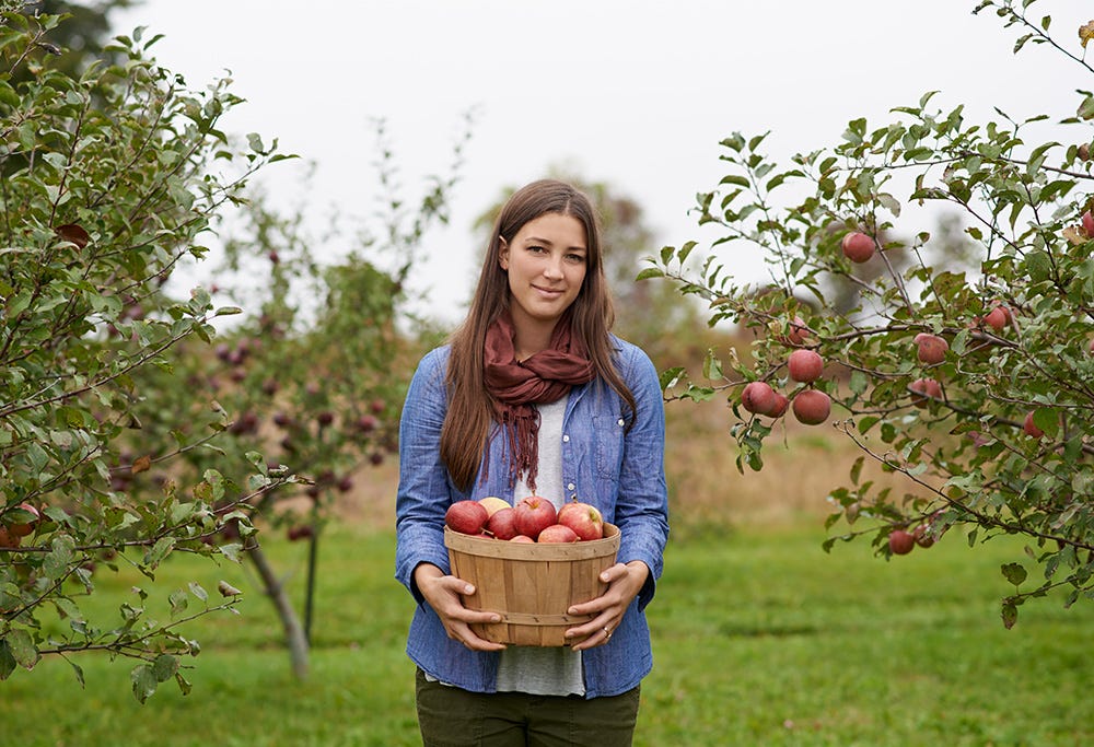 Amazing Places to Go Apple Picking Across the U.S.