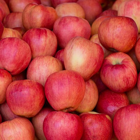 11 Best Apples For Apple Pie Apple Varieties For Baking
