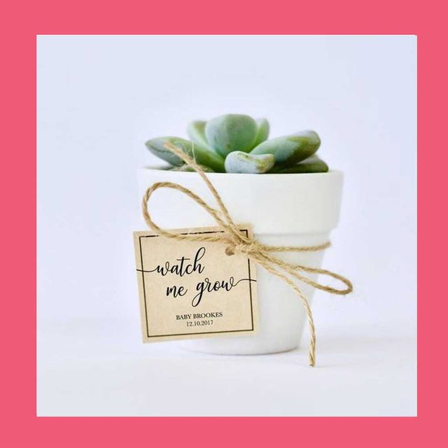 best baby shower favors  personalized bath bombs and watch me grow succulent