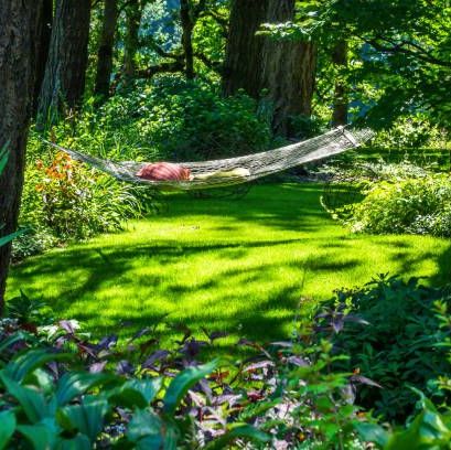 lush green backyard with hammock between two trees