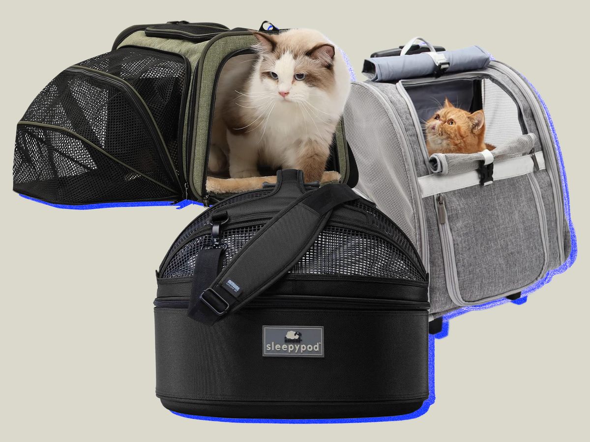 Soft Pet Carrier for Medium Cats and Small Dogs with Washable Cozy Bed, 3  Doors and Shoulder Strap. Easy to get cat in, Easy Storage, Lightweight