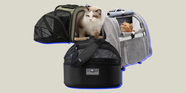 a collage of cat carriers with 2 cats