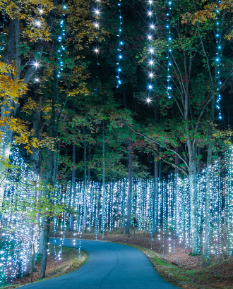 best christmas light displays pine mountain georgia