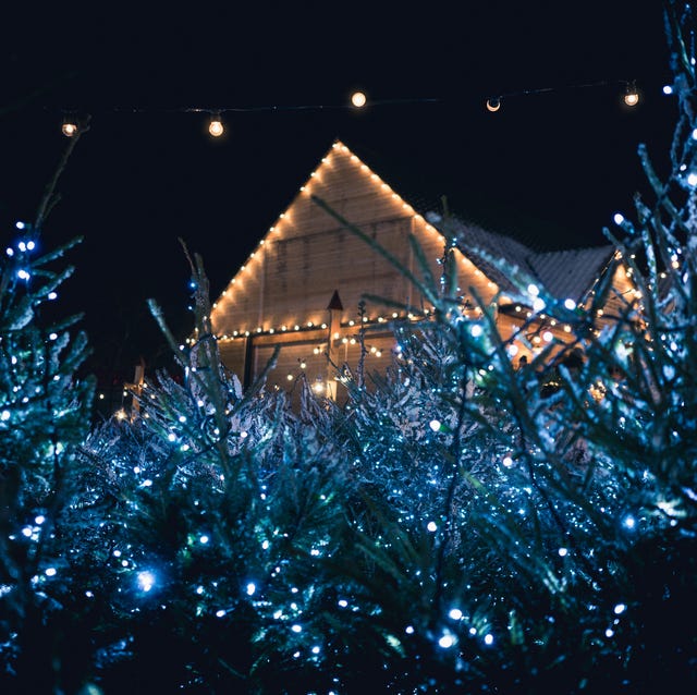 Christmas Light Installation