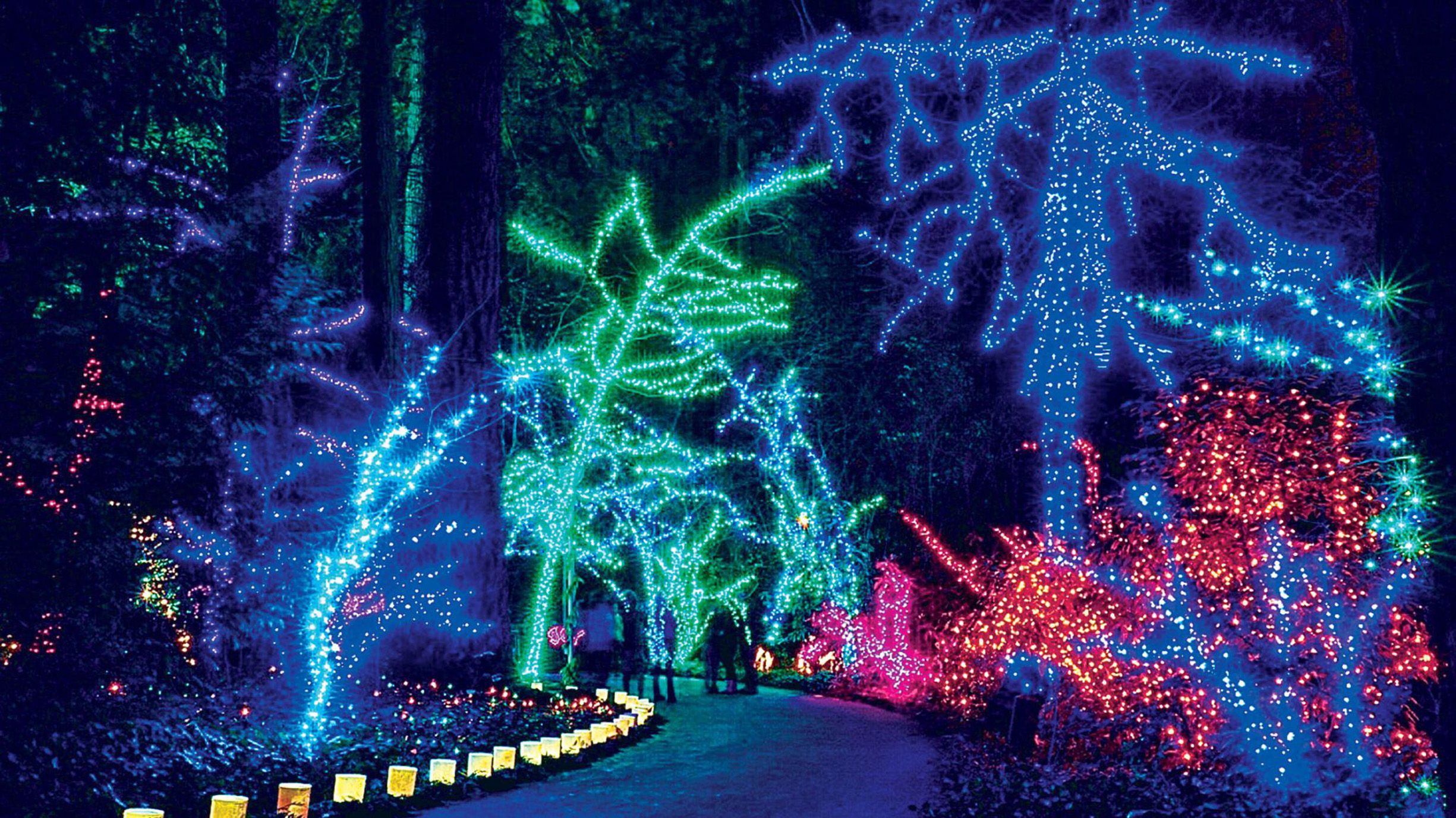 Holiday Light Shows Near Me 2024 - Teddi Garnette