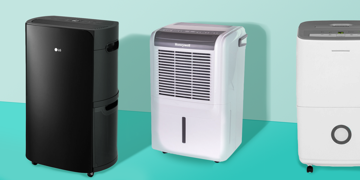 top rated dehumidifiers