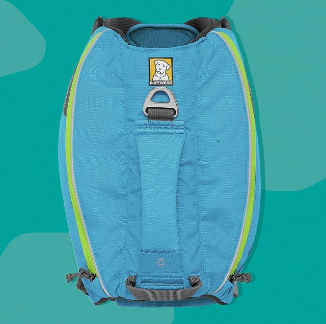 blue singletrak dog backpack