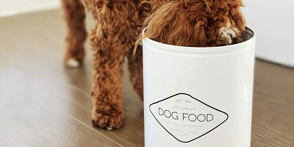 homemade dog food containers