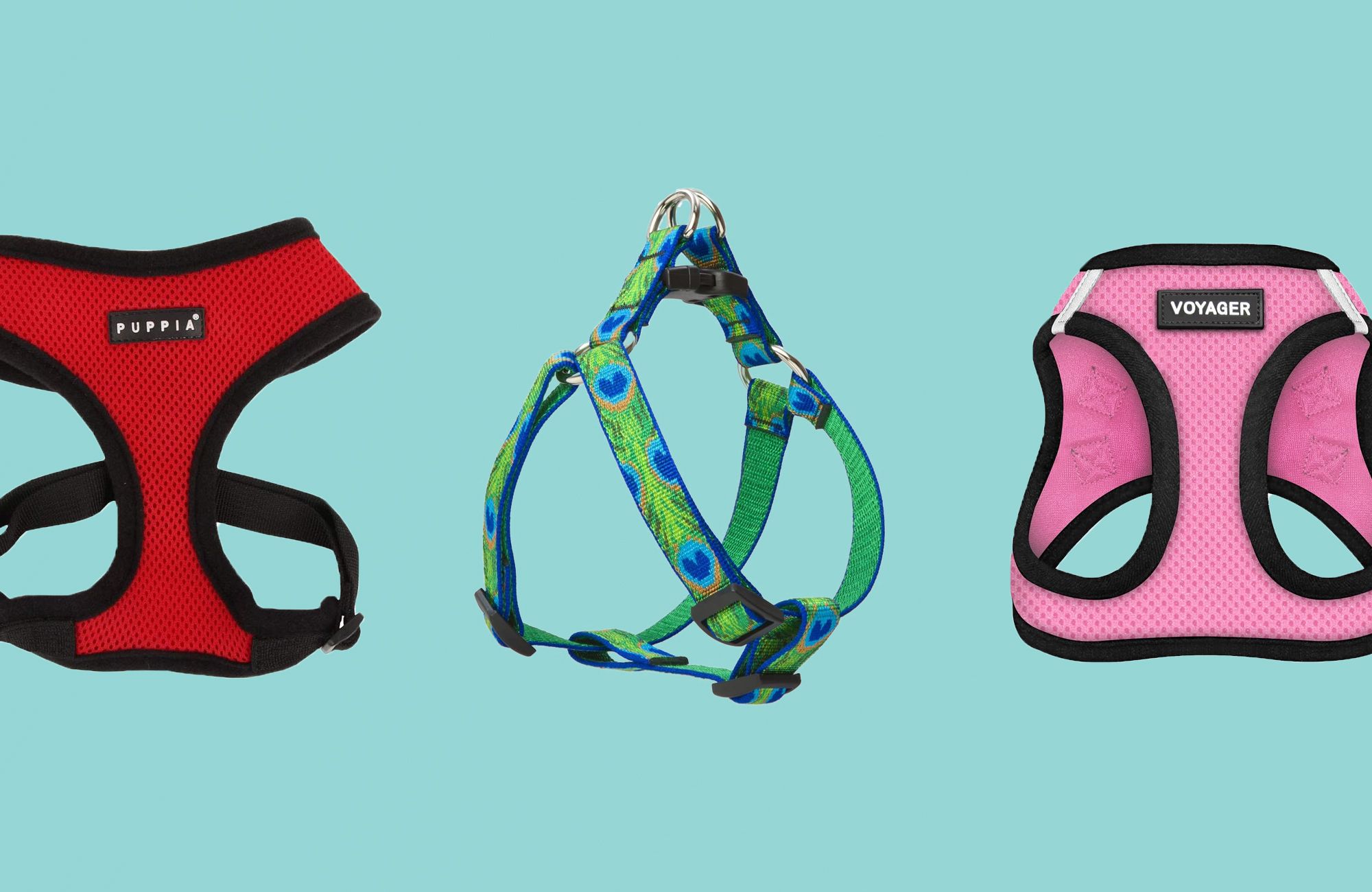 best puppy harness