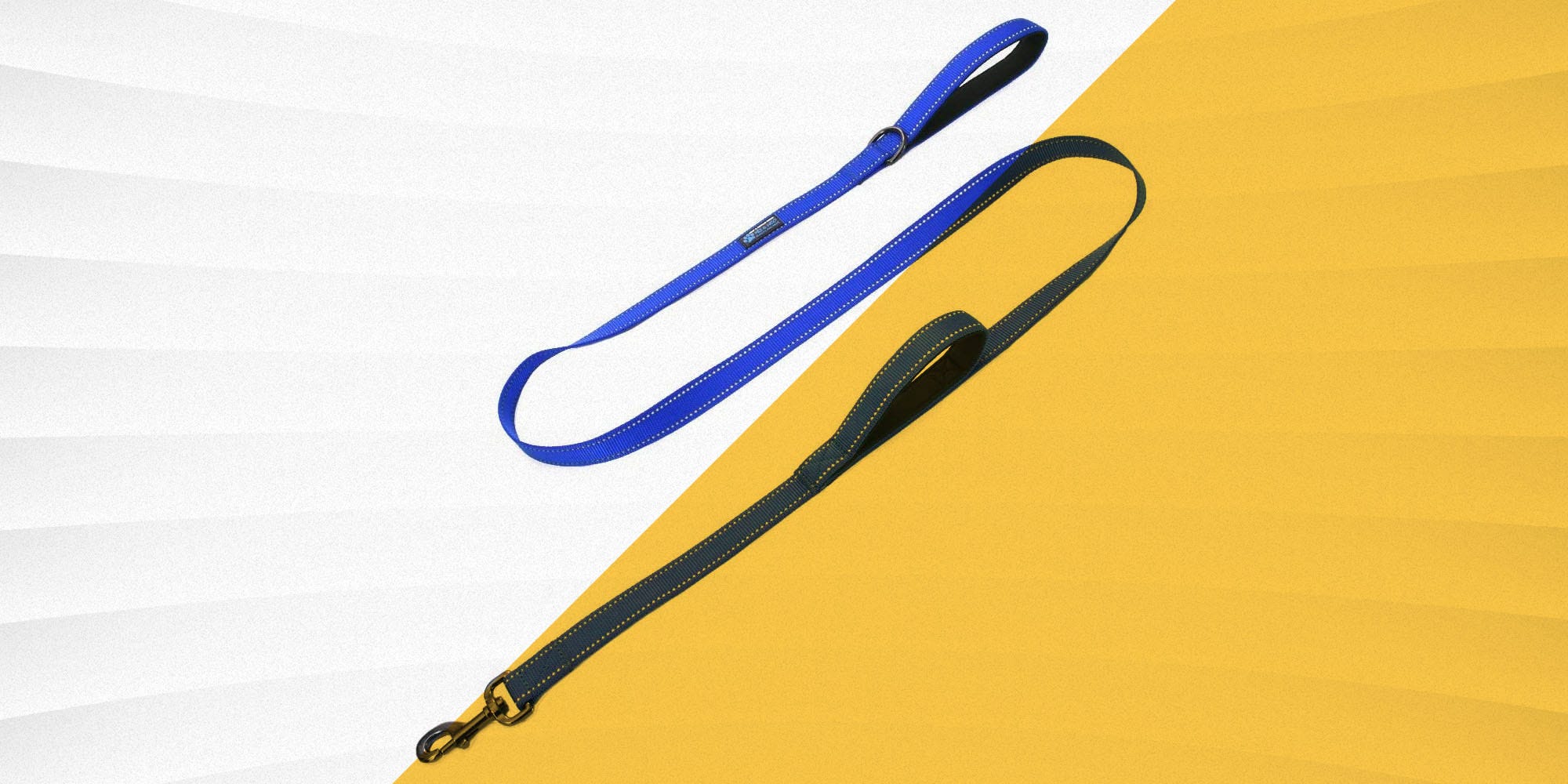 Give Your Dog Some Slack With One of These Dog Leashes