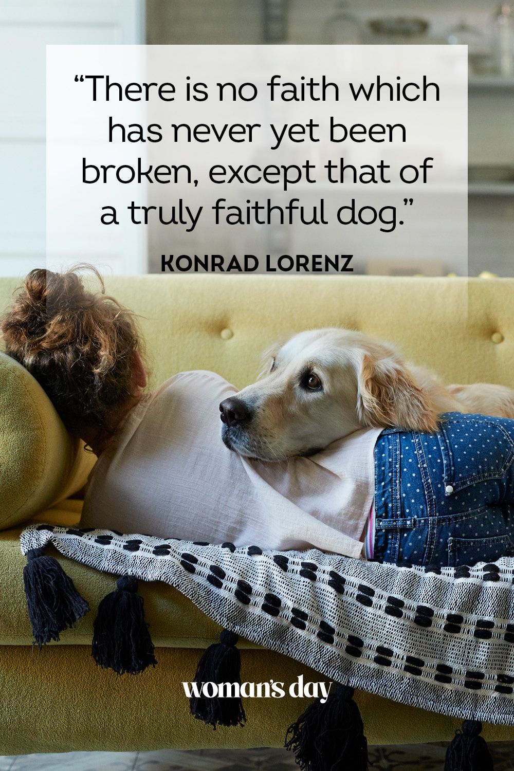 speech on dogs are most faithful animals
