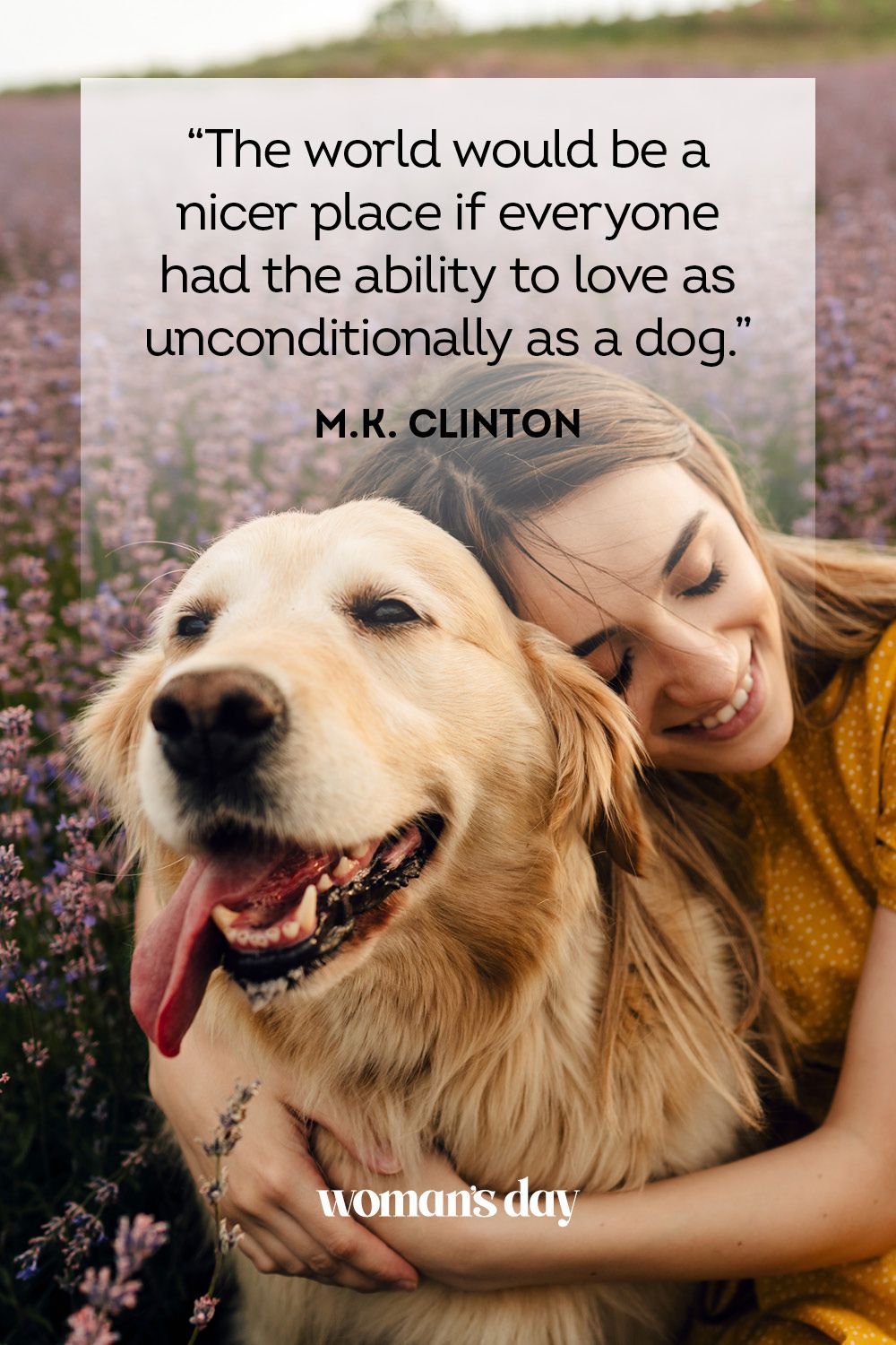 unconditional love soulmate dog love quotes