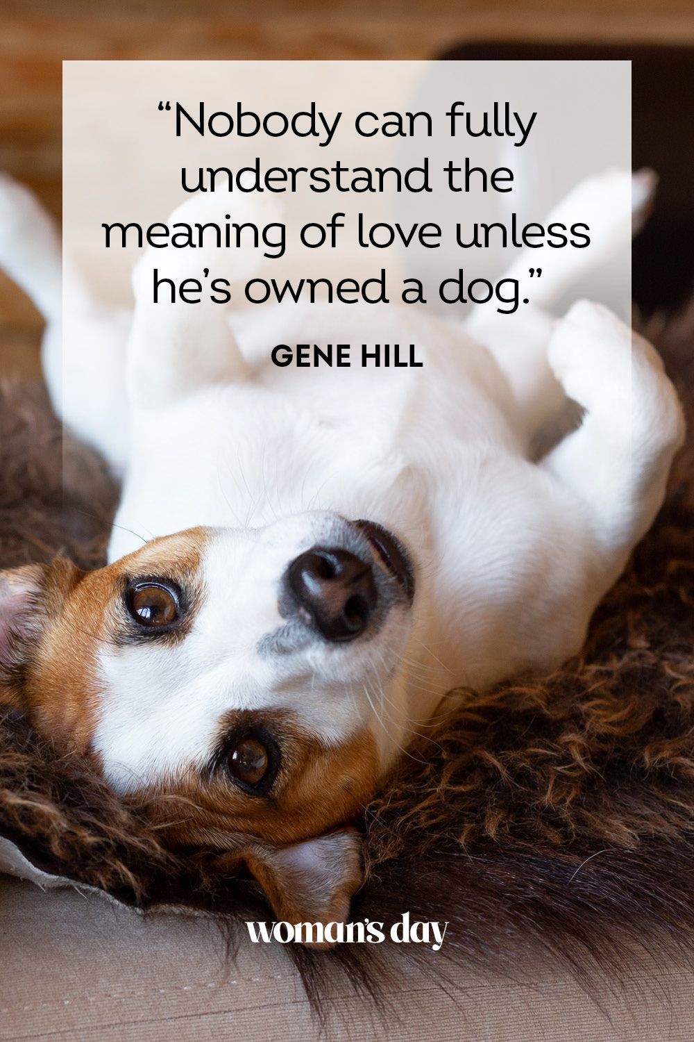 dog love sayings