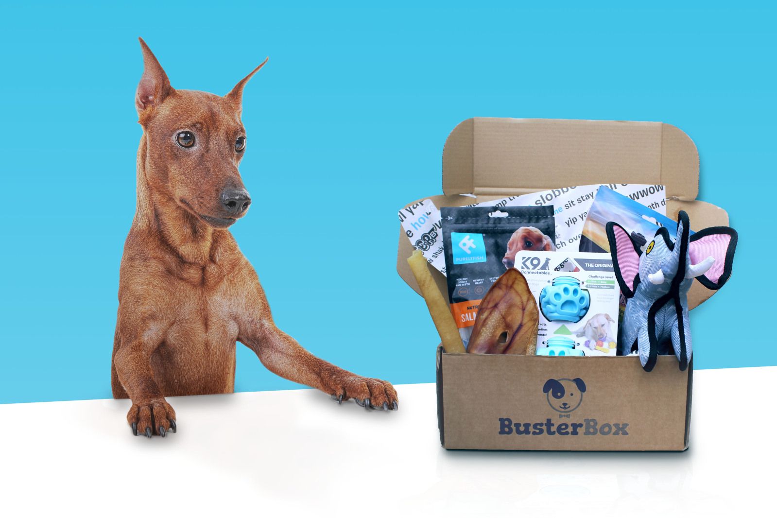 dog treat subscription box