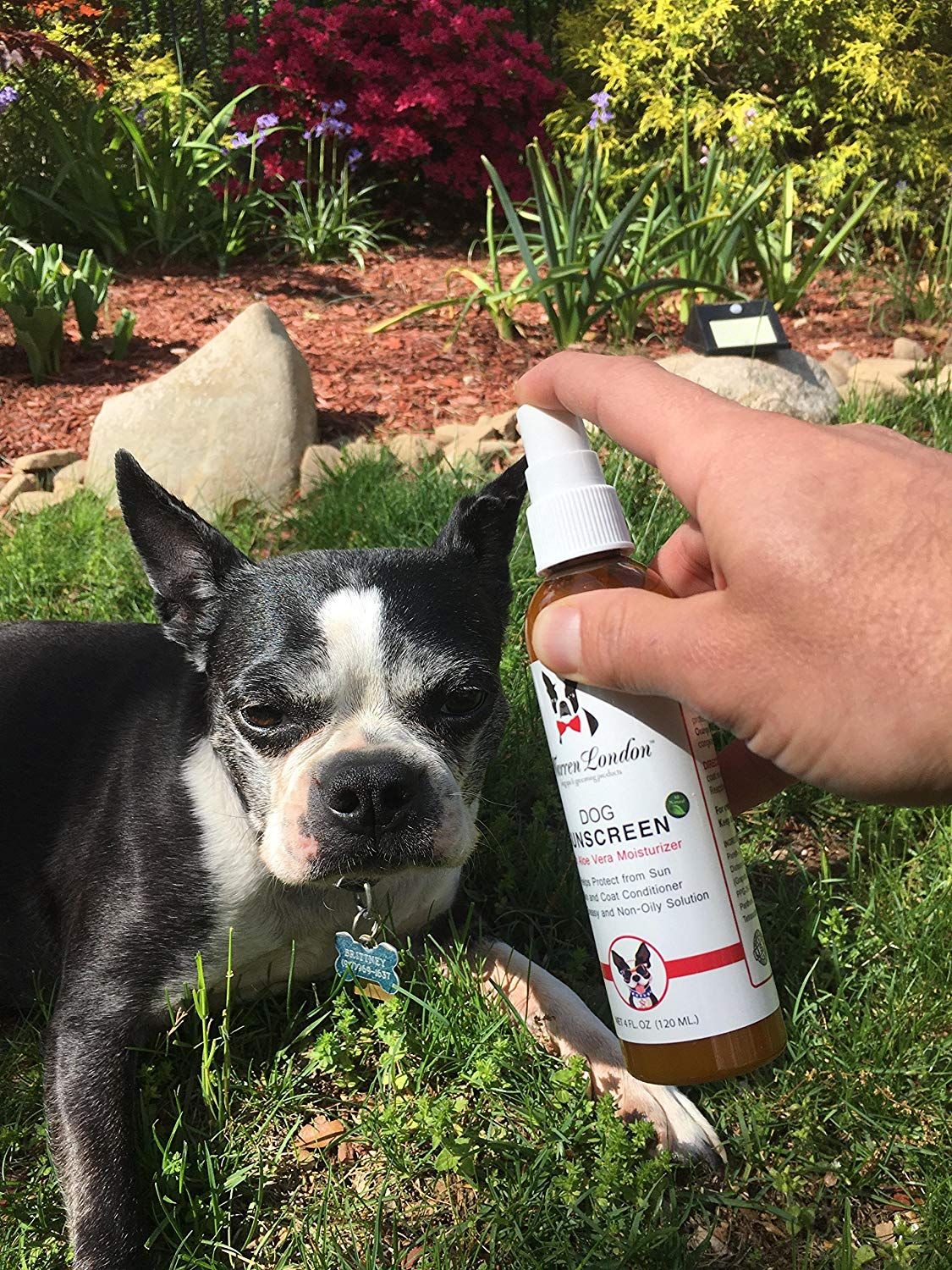 organic dog sunscreen