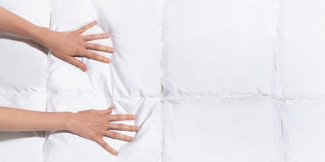 11 Best Down Comforters of 2019 - Cozy Down Comforter Reviews