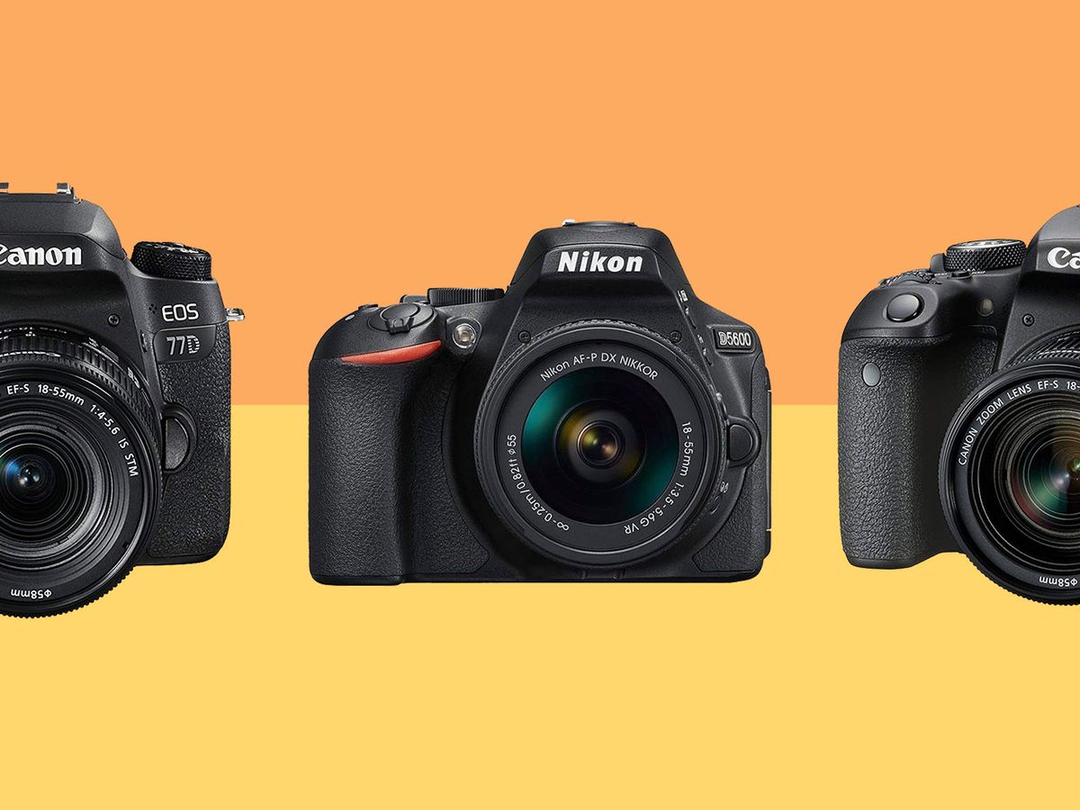 Best DSLR cameras: the best 7 beginner and intermediate DSLR cameras