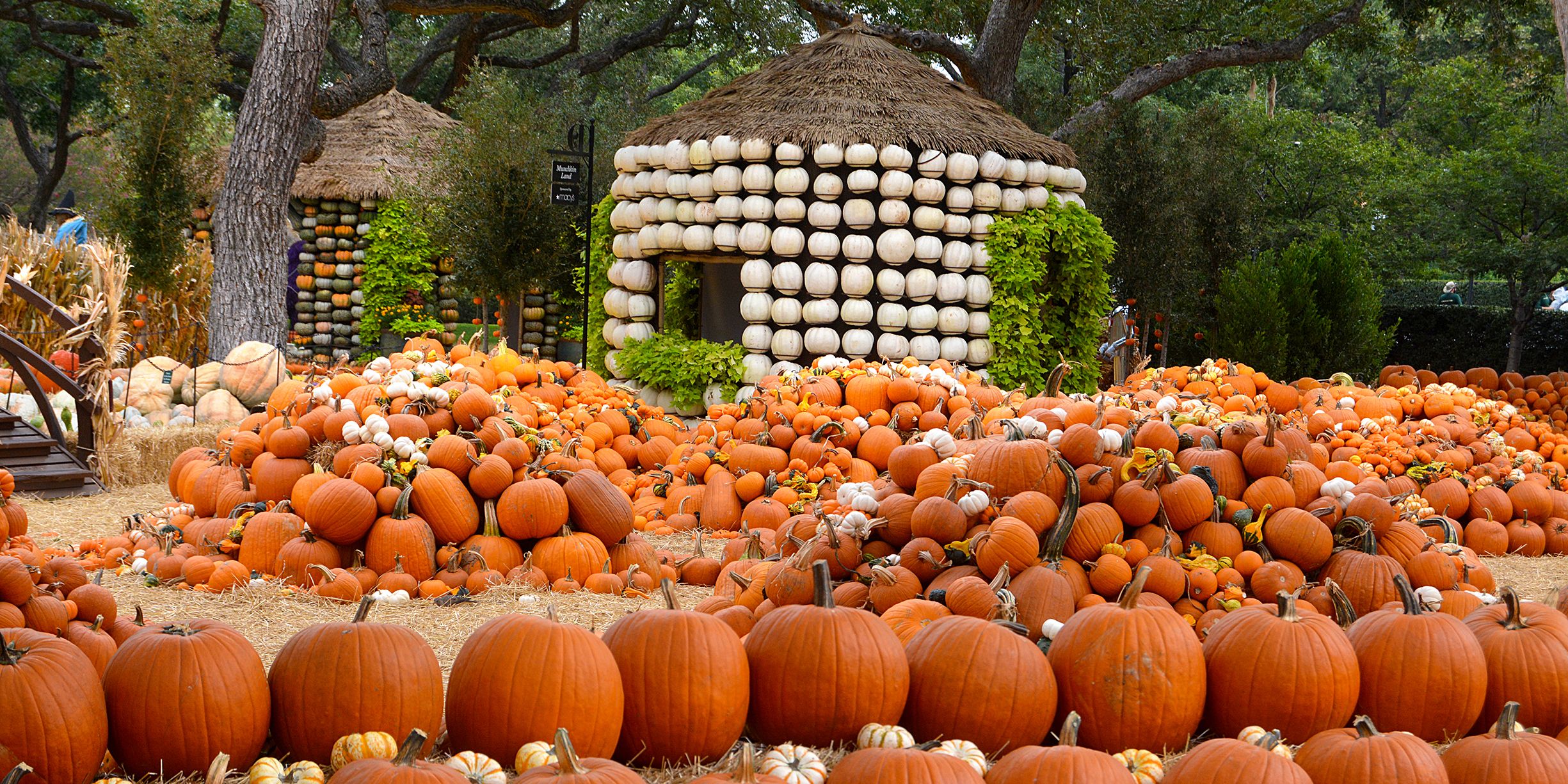 22 Fall Harvest Festivals Across America - Fall Travel Ideas