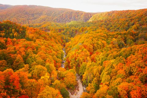 best fall pictures