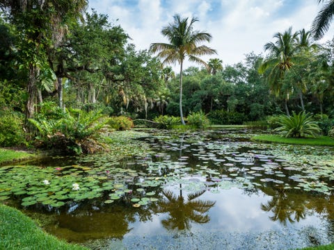 15 Beautiful Florida Gardens Best Florida Gardens To Visit