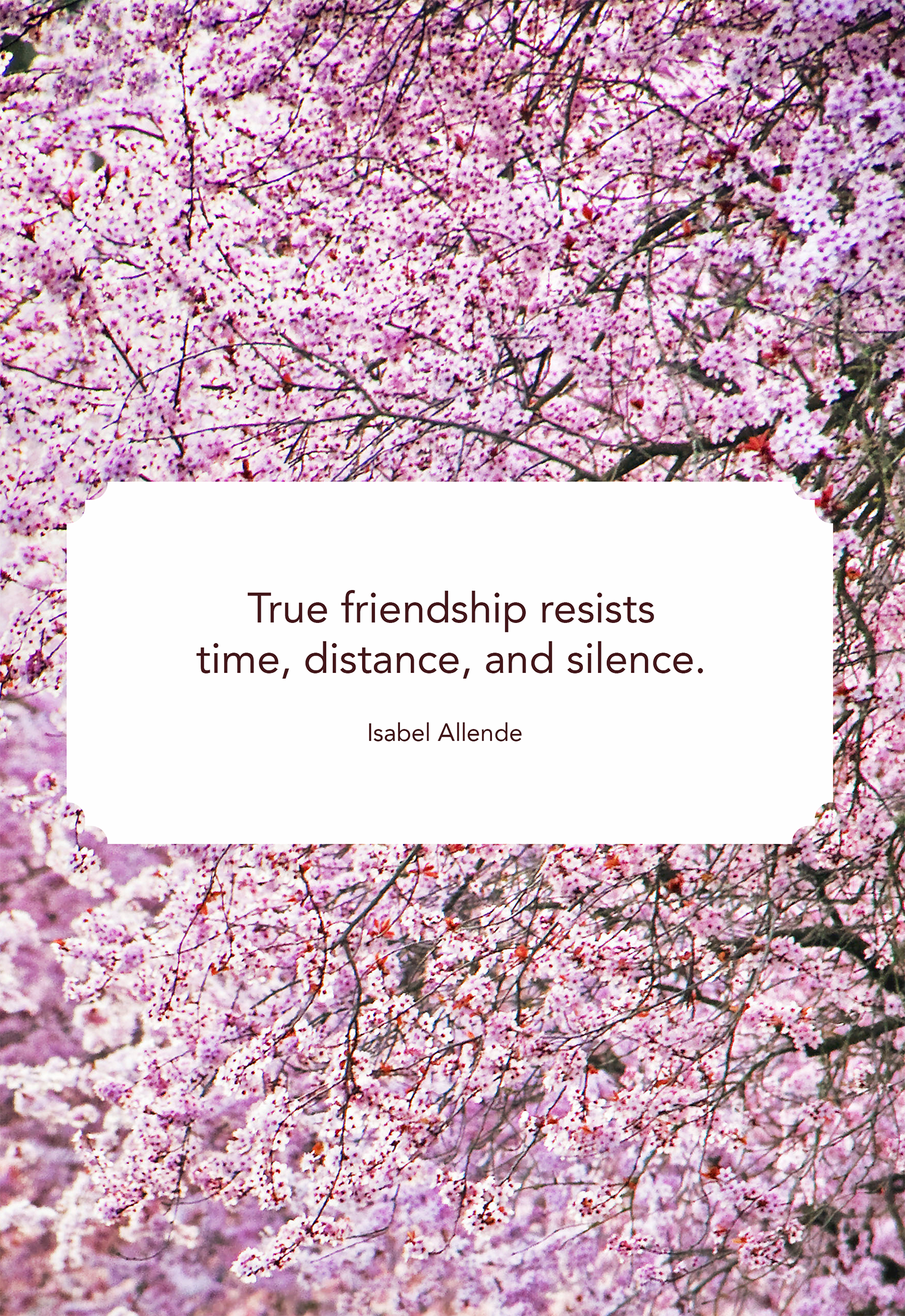 35 Cute Best Friend Quotes Short Quotes About True Friends