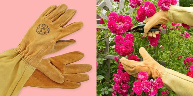 Garden Gloves For Roses Reviews