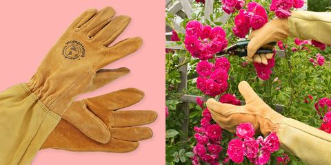 9 Best Gardening Gloves Great Long And Short Gardening Gloves
