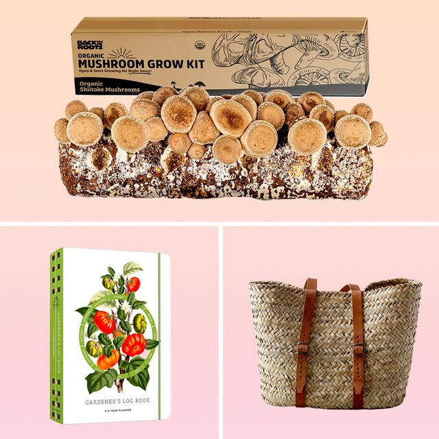 best gifts for gardeners including mushroom grow kits, garden log books, overnight masks, wicker bags, toadstool slippers, claw gardening gloves, bee homes, and more
