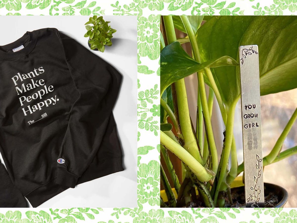 40 Best Gifts for Plant Lovers - Unique Plant Gift Ideas 2023 40 Best Gifts for Plant Lovers - Unique Plant Gift Ideas 2023