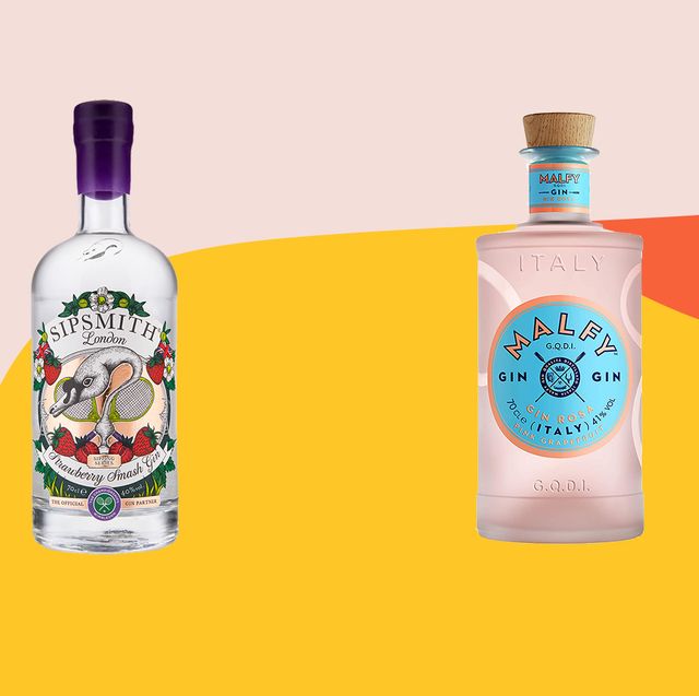 World’S Best 10 New Gins Tried And Tested 