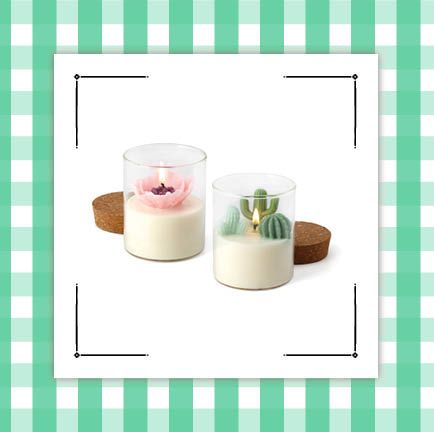 terrarium candle and my life story  best grandma gift ideas