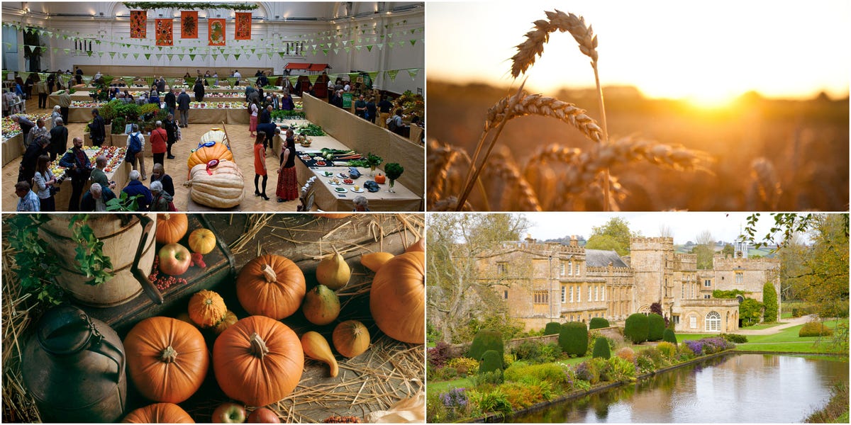 8 Of The Best UK Harvest Festivals In Autumn 2018 Harvest Festival Ideas