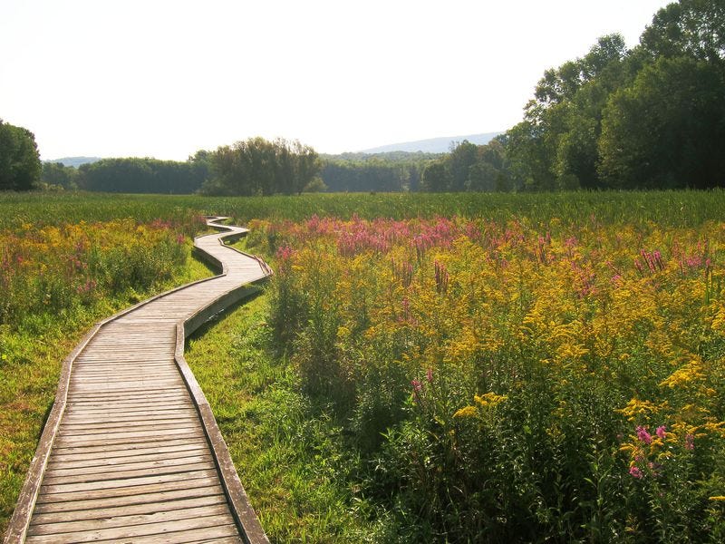 21 best hiking trails in nj