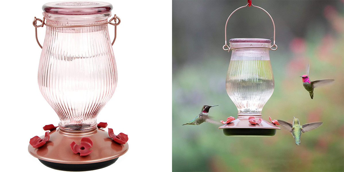 10 Best Feeders to Attract the Most Hummingbirds